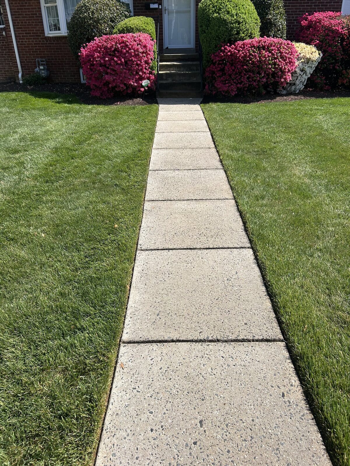 Walkway after — bright clean panels